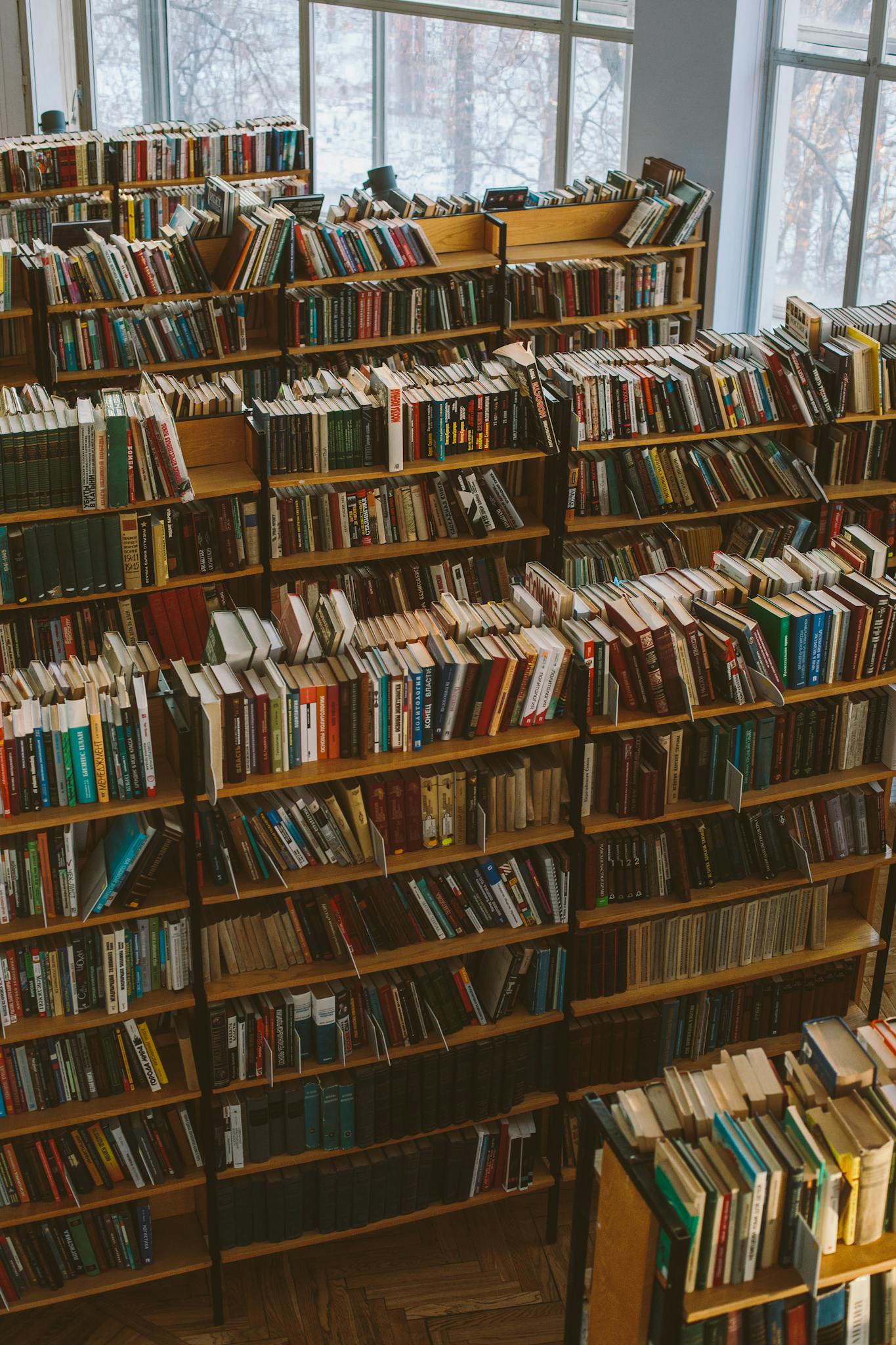 A vast collection of books in a cozy library setting, illuminated by natural daylight.